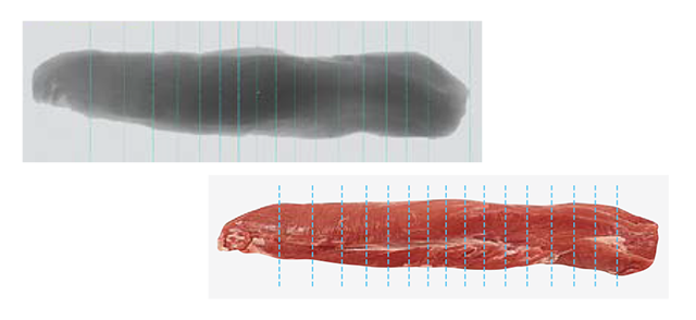 Great accuracy scanning