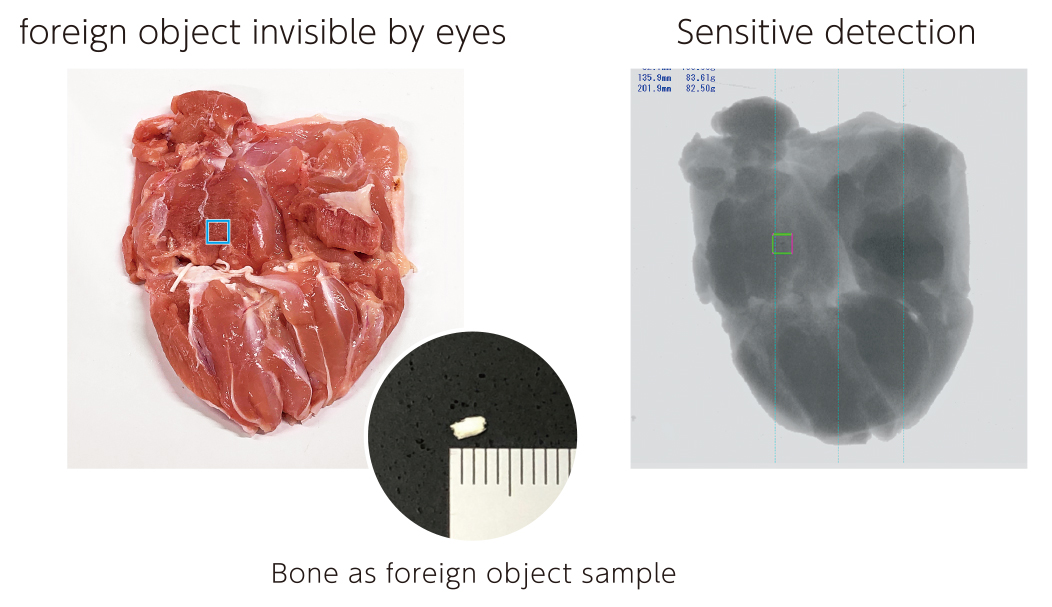 Foreign object inspeciton